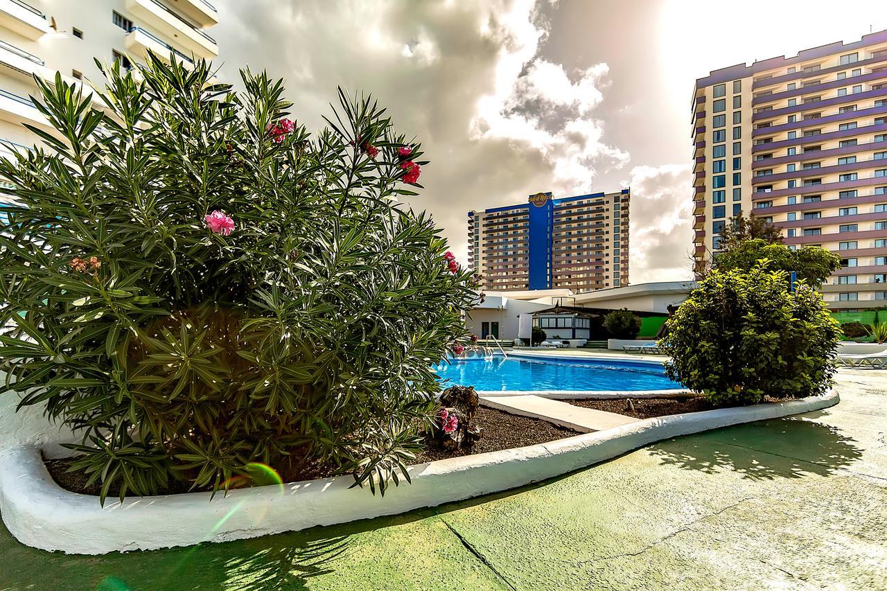 Mirador Del Paraiso 213 - 2 Bedrooms بلايا بارايسو المظهر الخارجي الصورة